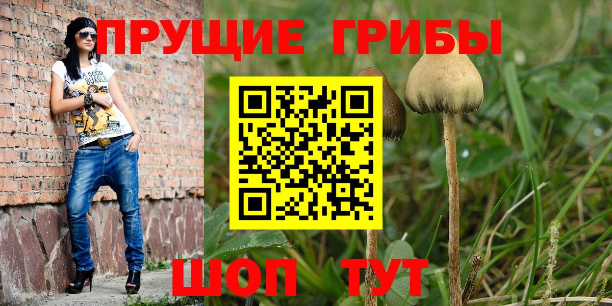Псилоцибиновые грибы мухоморы Шелехов